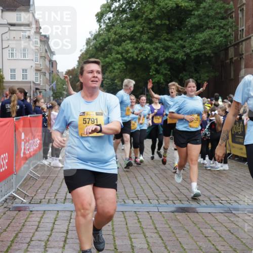 13.09.2026 - Kiel Lauf Yannick Fuchs http://msf.ph/oto/10435884 13.09.2026 09:50:02 Ziel 639, 951, 1033, 1796, 3042, 3602, 3914, 4856, 5791, 6706, 6707, 7142, 7937, 8584, 8585, 8589, 8790, 8890, 9122, 9780, 10074, 10178, 11565, 11814, 12047, 12462, 2065, 2066, 2110, 2366, 2976, 3571, 3687, 4067, 4125, 4363, 4376, 6359, 6658, 7606, 7641, 7884, 8128, 9944, 10105, 10159, 10229, 10565, 10990, 11973, 12045, 12492, 12560, 12749, 1366, 5184, 5254, 5535, 5619, 7864, 8023, 8042, 9683, 9793, 10108, 10487, 10491, 10548, 2327, 2919 meine-sportfotos.de
