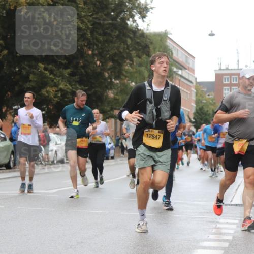 13.09.2026 - Kiel Lauf Markus Tischler http://msf.ph/oto/10436653 13.09.2026 11:43:16 Fleethörn 8732, 2318, 2025, 718, 12847 meine-sportfotos.de