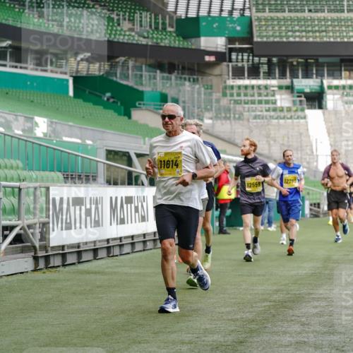 13.09.2026 - 21. swb-Marathon Bremen Michael Burmester http://msf.ph/oto/10436716 13.09.2026 10:26:23 Laufen im Stadion 10096, 10143, 10172, 10210, 10214, 10228, 10231, 10289, 10312, 10318, 10319, 10336, 10342, 10346, 10352, 10358, 10398, 10436, 10445, 10447, 10454, 10456, 10464, 10504, 10514, 10536, 10541, 10583, 10628, 10638, 10735, 10742, 10744, 10806, 10807, 10816, 10861, 10866, 10873, 10956, 10987, 10988, 10992, 11015, 11019, 11020, 11063, 11088, 11108, 11130, 11135, 11155, 11187, 11193, 11199, 11209, 11232, 11265, 11279, 11312, 11447, 11468, 11615, 11758, 11948 meine-sportfotos.de