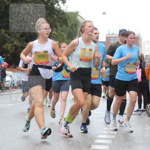 13.09.2026 - Kiel Lauf Markus Tischler http://msf.ph/oto/10437101 13.09.2026 11:45:29 Fleethörn 39, 9680, 39, 2090, 3763 meine-sportfotos.de