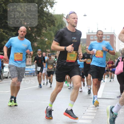 13.09.2026 - Kiel Lauf Markus Tischler http://msf.ph/oto/10437140 13.09.2026 11:45:38 Fleethörn 38, 8372, 2907, 39, 7660 meine-sportfotos.de