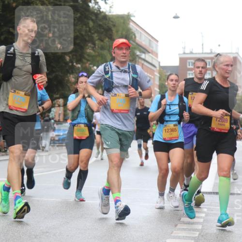 13.09.2026 - Kiel Lauf Markus Tischler http://msf.ph/oto/10438231 13.09.2026 11:49:57 Fleethörn 38, 7776, 9890, 38, 12365, 2059 meine-sportfotos.de