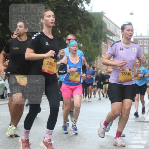 13.09.2026 - Kiel Lauf Markus Tischler http://msf.ph/oto/10438441 13.09.2026 11:50:52 Fleethörn 2460, 38, 8101, 39, 448, 14, 45, 12846 meine-sportfotos.de