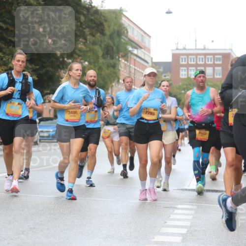 13.09.2026 - Kiel Lauf Markus Tischler http://msf.ph/oto/10438585 13.09.2026 11:51:29 Fleethörn 3486, 7793, 9822, 7433 meine-sportfotos.de