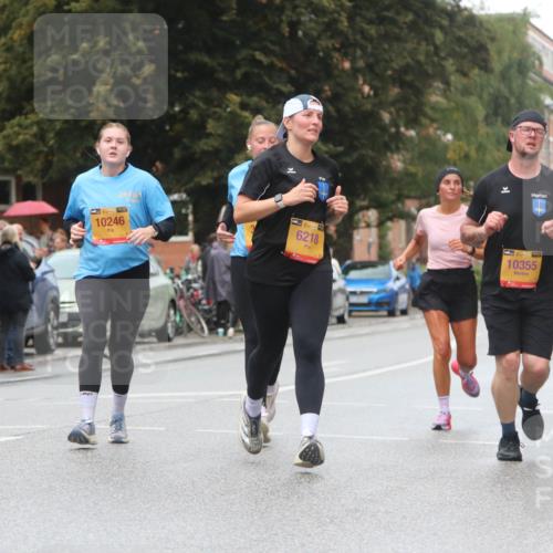 13.09.2026 - Kiel Lauf Markus Tischler http://msf.ph/oto/10438675 13.09.2026 11:52:00 Fleethörn 300, 10246, 6218, 39, 10355, 115 meine-sportfotos.de