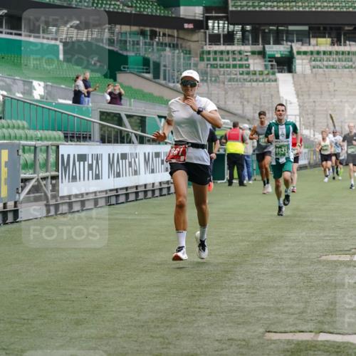 13.09.2026 - 21. swb-Marathon Bremen Michael Burmester http://msf.ph/oto/10439992 13.09.2026 12:42:03 Laufen im Stadion 371, 439, 603, 640, 650, 671, 735, 744, 749, 957, 1009, 1223, 1224, 1336, 1381, 1411, 1571, 1614, 1619, 1667, 1712, 1745, 1797, 1822, 1850, 1862, 1930, 2094, 2207, 2986, 3368, 3624, 4399, 4795, 4847, 4936, 5672, 5828, 6198, 6264, 6929, 6991, 7141, 8065, 8311, 8383, 8394, 8994, 9065, 9120, 9329, 277, 346, 807, 895, 901, 1090, 1118, 1248, 1320, 1323, 1472, 1576, 1587, 1604, 1717, 1751, 1758, 1911, 2141, 2352, 2585, 2670, 3080, 3606, 5160, 5163, 5912 meine-sportfotos.de
