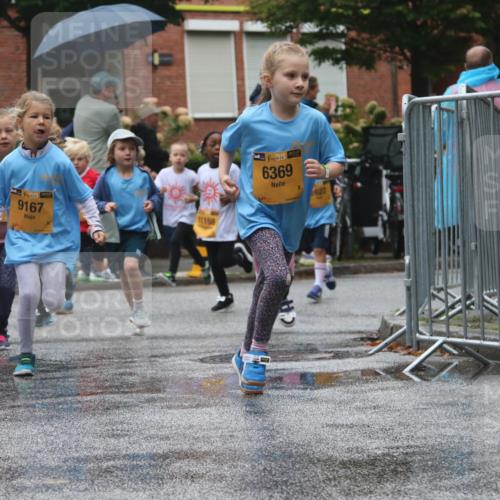 13.09.2026 - Kiel Lauf Markus Tischler http://msf.ph/oto/10441651 13.09.2026 08:33:04 Fleethörn 9765, 38, 9167, 11158, 6369, 622 meine-sportfotos.de