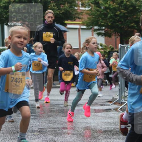 13.09.2026 - Kiel Lauf Markus Tischler http://msf.ph/oto/10441886 13.09.2026 08:33:34 Fleethörn 4990, 7421, 9262, 12484, 8800, 355, 644 meine-sportfotos.de