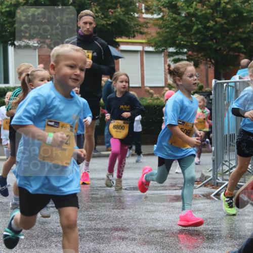 13.09.2026 - Kiel Lauf Markus Tischler http://msf.ph/oto/10441893 13.09.2026 08:33:34 Fleethörn 4990, 83, 1138, 8800, 5066, 0875, 10 meine-sportfotos.de