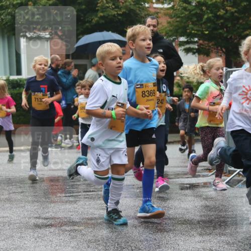 13.09.2026 - Kiel Lauf Markus Tischler http://msf.ph/oto/10441917 13.09.2026 08:33:37 Fleethörn 1148, 388, 713, 509, 38, 8369, 242 meine-sportfotos.de