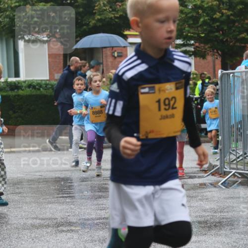 13.09.2026 - Kiel Lauf Markus Tischler http://msf.ph/oto/10442001 13.09.2026 08:33:49 Fleethörn 8988, 192, 6741, 1191 meine-sportfotos.de
