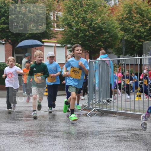 13.09.2026 - Kiel Lauf Markus Tischler http://msf.ph/oto/10442039 13.09.2026 08:33:54 Fleethörn 6741, 1, 38, 922, 11337, 39, 8009, 8340 meine-sportfotos.de