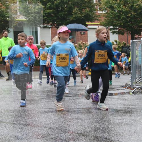 13.09.2026 - Kiel Lauf Markus Tischler http://msf.ph/oto/10442090 13.09.2026 08:33:59 Fleethörn 524, 3542, 38, 2684, 38, 8556 meine-sportfotos.de