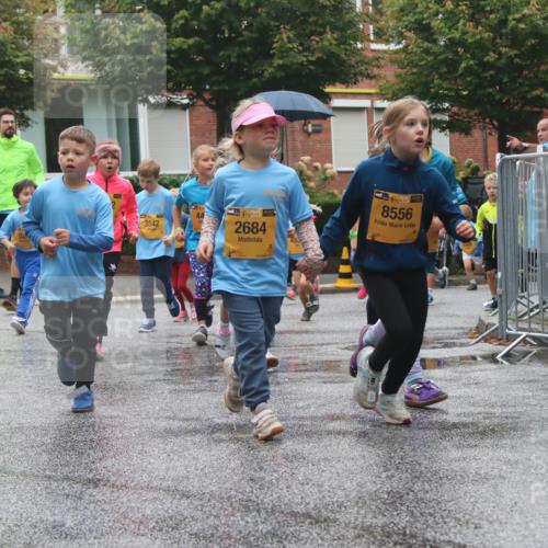 13.09.2026 - Kiel Lauf Markus Tischler http://msf.ph/oto/10442097 13.09.2026 08:33:59 Fleethörn 3542, 38, 2684, 38, 8556 meine-sportfotos.de