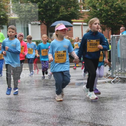 13.09.2026 - Kiel Lauf Markus Tischler http://msf.ph/oto/10442106 13.09.2026 08:33:59 Fleethörn 5245, 62, 3542, 4418, 38, 38, 2684, 8556, 9719, 05 meine-sportfotos.de