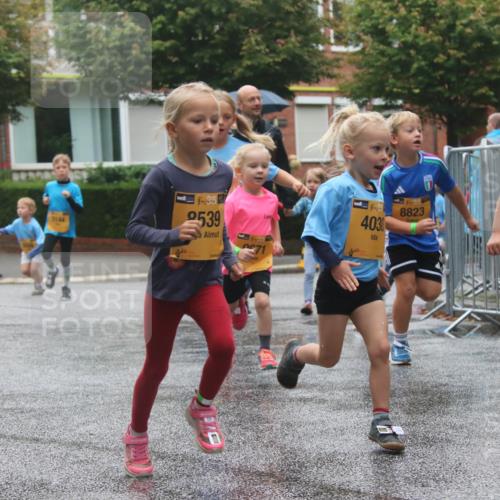 13.09.2026 - Kiel Lauf Markus Tischler http://msf.ph/oto/10442146 13.09.2026 08:34:02 Fleethörn 3144, 38, 2539, 4030, 8823, 619 meine-sportfotos.de