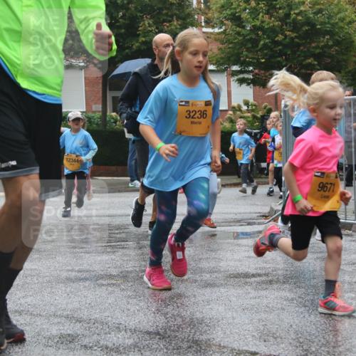 13.09.2026 - Kiel Lauf Markus Tischler http://msf.ph/oto/10442160 13.09.2026 08:34:03 Fleethörn 65018, 3144, 12344, 1, 39, 3236, 9671, 1577 meine-sportfotos.de