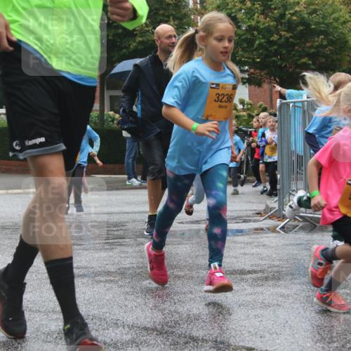 13.09.2026 - Kiel Lauf Markus Tischler http://msf.ph/oto/10442166 13.09.2026 08:34:03 Fleethörn 3144, 38, 3236, 9671, 1157 meine-sportfotos.de