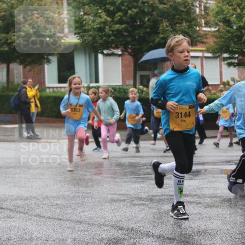 13.09.2026 - Kiel Lauf Markus Tischler http://msf.ph/oto/10442186 13.09.2026 08:34:05 Fleethörn 9383, 38, 3144, 4002, 38, 12344 meine-sportfotos.de