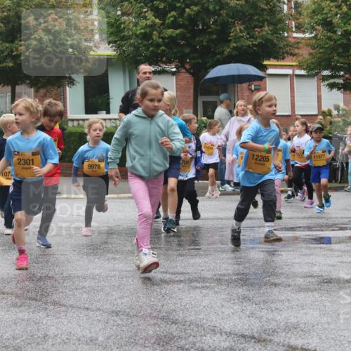 13.09.2026 - Kiel Lauf Markus Tischler http://msf.ph/oto/10442206 13.09.2026 08:34:07 Fleethörn 107, 38, 2301, 9978, 11639, 12205, 322, 11577 meine-sportfotos.de