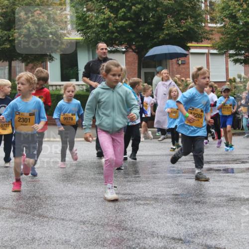 13.09.2026 - Kiel Lauf Markus Tischler http://msf.ph/oto/10442211 13.09.2026 08:34:07 Fleethörn 10727, 1, 39, 2301, 38, 9978, 8357, 12205, 11577 meine-sportfotos.de