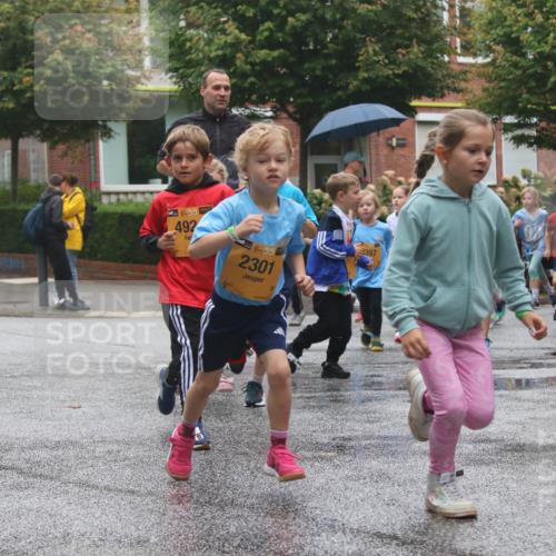 13.09.2026 - Kiel Lauf Markus Tischler http://msf.ph/oto/10442217 13.09.2026 08:34:08 Fleethörn 10, 4, 394, 492, 38, 2301, 3357, 5827 meine-sportfotos.de