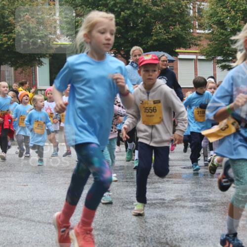 13.09.2026 - Kiel Lauf Markus Tischler http://msf.ph/oto/10442270 13.09.2026 08:34:13 Fleethörn 39, 39, 15, 832, 176, 923, 334, 3556, 310 meine-sportfotos.de