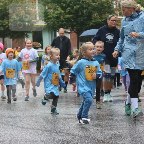 13.09.2026 - Kiel Lauf Markus Tischler http://msf.ph/oto/10442295 13.09.2026 08:34:15 Fleethörn 2354, 1552, 1551, 9234, 150, 832, 38, 2621, 308 meine-sportfotos.de