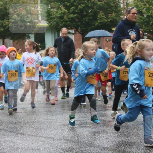 13.09.2026 - Kiel Lauf Markus Tischler http://msf.ph/oto/10442300 13.09.2026 08:34:16 Fleethörn 38, 1552, 03, 1, 384, 1551, 9234, 8267, 38, 778, 39, 22, 22, 11 meine-sportfotos.de