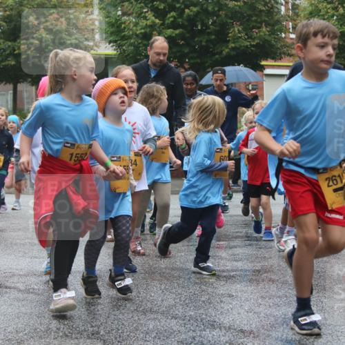 13.09.2026 - Kiel Lauf Markus Tischler http://msf.ph/oto/10442313 13.09.2026 08:34:17 Fleethörn 354, 1905, 39, 1552, 34, 261, 6109 meine-sportfotos.de