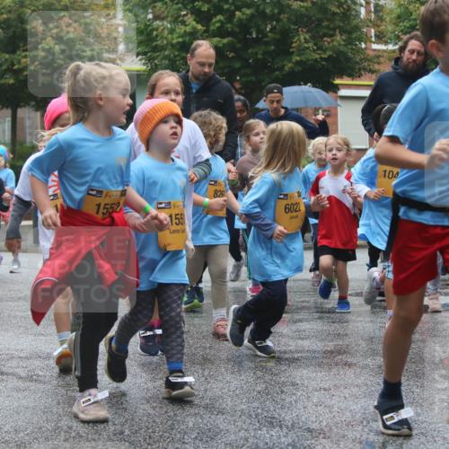 13.09.2026 - Kiel Lauf Markus Tischler http://msf.ph/oto/10442321 13.09.2026 08:34:17 Fleethörn 38, 100, 11905, 38, 1552, 155, 8261, 6022, 104, 261, 6109 meine-sportfotos.de