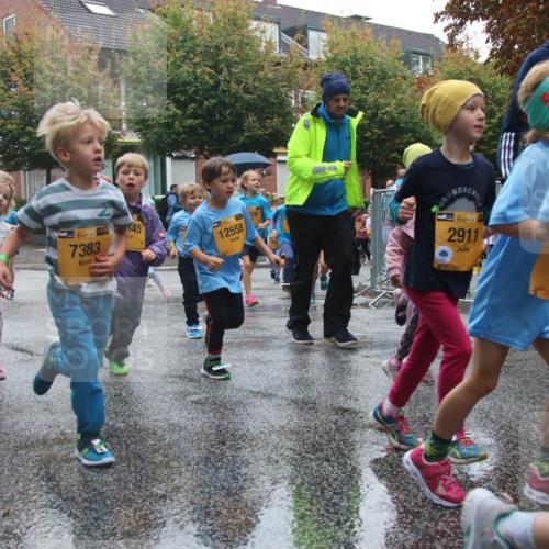 13.09.2026 - Kiel Lauf Markus Tischler http://msf.ph/oto/10442354 13.09.2026 08:34:22 Fleethörn 30, 39, 45, 7383, 39274, 12558, 39, 2911 meine-sportfotos.de