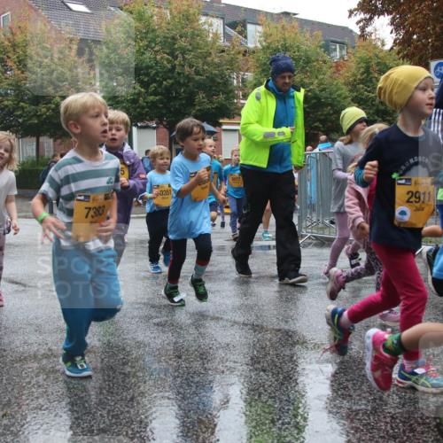 13.09.2026 - Kiel Lauf Markus Tischler http://msf.ph/oto/10442360 13.09.2026 08:34:22 Fleethörn 30, 7383, 0351, 3077, 39, 2911 meine-sportfotos.de
