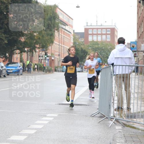 13.09.2026 - Kiel Lauf Markus Tischler http://msf.ph/oto/10443411 13.09.2026 08:48:05 Fleethörn 2909, 3167 meine-sportfotos.de