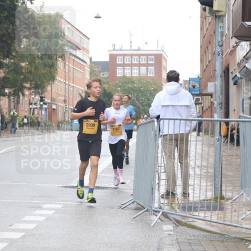 13.09.2026 - Kiel Lauf Markus Tischler http://msf.ph/oto/10443424 13.09.2026 08:48:06 Fleethörn 511, 2909, 3167 meine-sportfotos.de