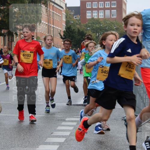 13.09.2026 - Kiel Lauf Markus Tischler http://msf.ph/oto/10448529 13.09.2026 08:53:10 Fleethörn 38, 1947, 193, 15, 38, 6103, 39, 9816, 7341, 23, 3210, 8, 38, 545, 7635, 332 meine-sportfotos.de