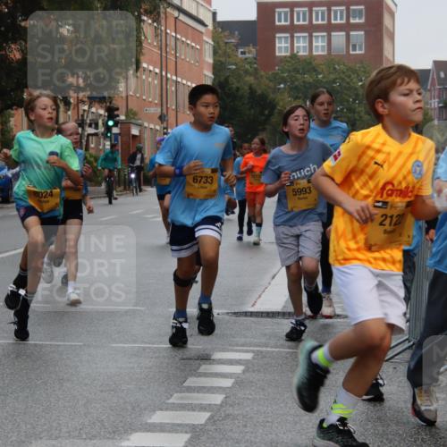 13.09.2026 - Kiel Lauf Markus Tischler http://msf.ph/oto/10448604 13.09.2026 08:53:31 Fleethörn 1, 611, 880, 8024, 12117, 6733, 5993, 38, 6, 29, 2122, 120 meine-sportfotos.de
