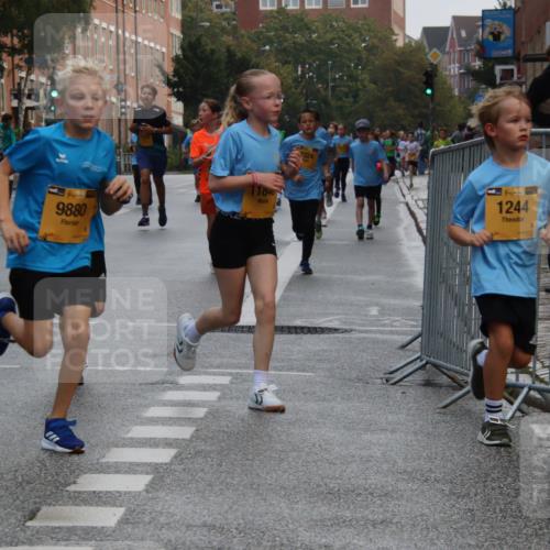 13.09.2026 - Kiel Lauf Markus Tischler http://msf.ph/oto/10448611 13.09.2026 08:53:33 Fleethörn 6616, 2111, 9880, 11840, 2324, 38, 1244 meine-sportfotos.de