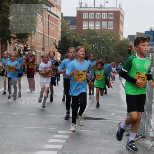13.09.2026 - Kiel Lauf Markus Tischler http://msf.ph/oto/10448645 13.09.2026 08:53:46 Fleethörn 1, 6, 38, 9714, 6214, 6134, 055, 1, 39, 329, 5462, 9, 7470 meine-sportfotos.de