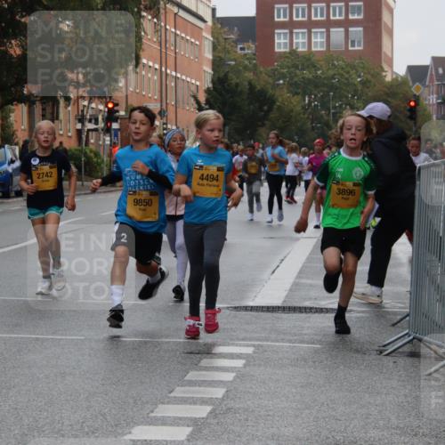 13.09.2026 - Kiel Lauf Markus Tischler http://msf.ph/oto/10448683 13.09.2026 08:53:55 Fleethörn 611, 2742, 39, 9850, 38, 4494, 14, 1, 38, 3896 meine-sportfotos.de