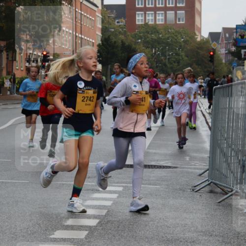 13.09.2026 - Kiel Lauf Markus Tischler http://msf.ph/oto/10448689 13.09.2026 08:53:58 Fleethörn 139, 38, 2742, 611, 109 meine-sportfotos.de