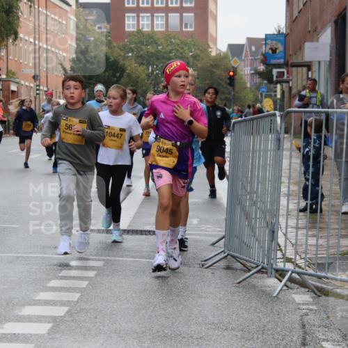 13.09.2026 - Kiel Lauf Markus Tischler http://msf.ph/oto/10448712 13.09.2026 08:54:04 Fleethörn 2754, 4, 39, 56, 10447, 39, 9045 meine-sportfotos.de