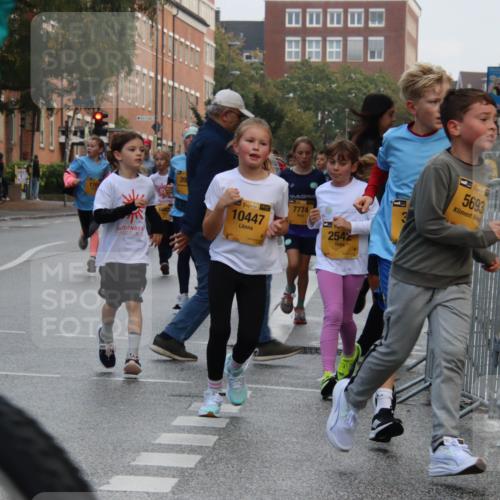 13.09.2026 - Kiel Lauf Markus Tischler http://msf.ph/oto/10448718 13.09.2026 08:54:06 Fleethörn 170, 39, 48, 10447, 7774, 2542, 5693 meine-sportfotos.de