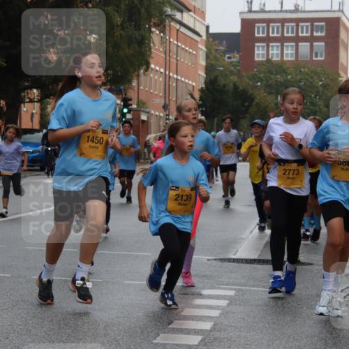 13.09.2026 - Kiel Lauf Markus Tischler http://msf.ph/oto/10448796 13.09.2026 08:54:32 Fleethörn 2023, 38, 1450, 38, 2139, 1, 39, 2773, 5860 meine-sportfotos.de