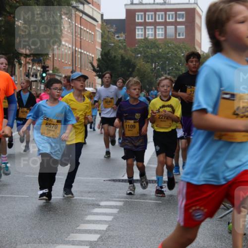 13.09.2026 - Kiel Lauf Markus Tischler http://msf.ph/oto/10448801 13.09.2026 08:54:34 Fleethörn 2023, 49, 9216, 6570, 8546, 485, 2212, 1109 meine-sportfotos.de