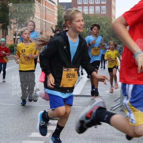 13.09.2026 - Kiel Lauf Markus Tischler http://msf.ph/oto/10448820 13.09.2026 08:54:41 Fleethörn 411, 23, 4, 39, 774, 9216, 1297, 3693, 3219 meine-sportfotos.de