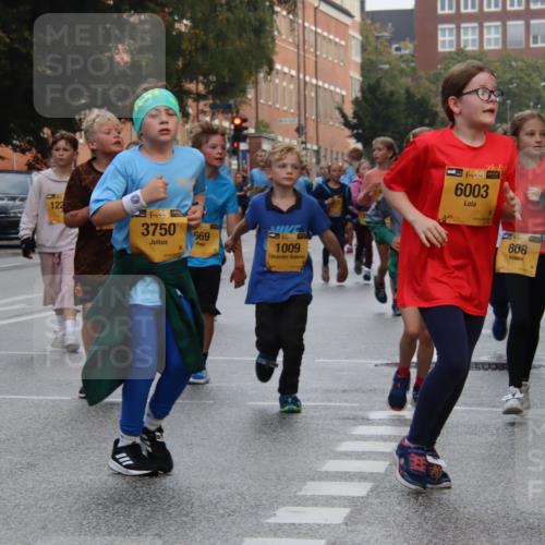 13.09.2026 - Kiel Lauf Markus Tischler http://msf.ph/oto/10448965 13.09.2026 08:55:28 Fleethörn 4617, 1, 122, 1, 39, 3750, 669, 1009, 48, 6003, 808, 6 meine-sportfotos.de