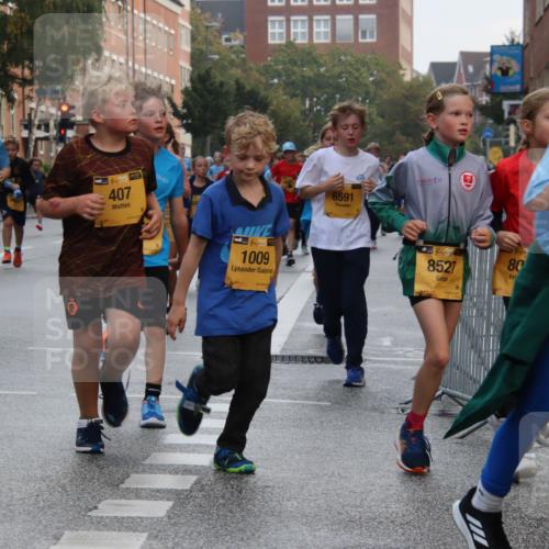 13.09.2026 - Kiel Lauf Markus Tischler http://msf.ph/oto/10448971 13.09.2026 08:55:29 Fleethörn 220, 9935, 407, 1009, 6591, 4, 39, 8527, 10, 80, 3750 meine-sportfotos.de