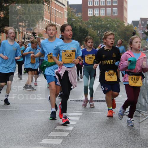 13.09.2026 - Kiel Lauf Markus Tischler http://msf.ph/oto/10448986 13.09.2026 08:55:36 Fleethörn 1544, 4680, 4537, 3382, 1, 39, 2685, 2173 meine-sportfotos.de