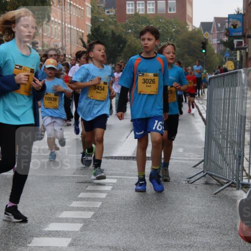 13.09.2026 - Kiel Lauf Markus Tischler http://msf.ph/oto/10449012 13.09.2026 08:55:45 Fleethörn 53, 10939, 3454, 38, 3026, 16 meine-sportfotos.de